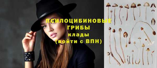кокаин VHQ Белокуриха