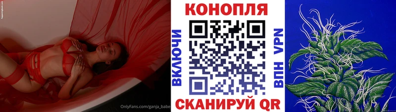 Купить где  Кирсанов  Шишки марихуана сатива 